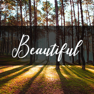 Beautiful
